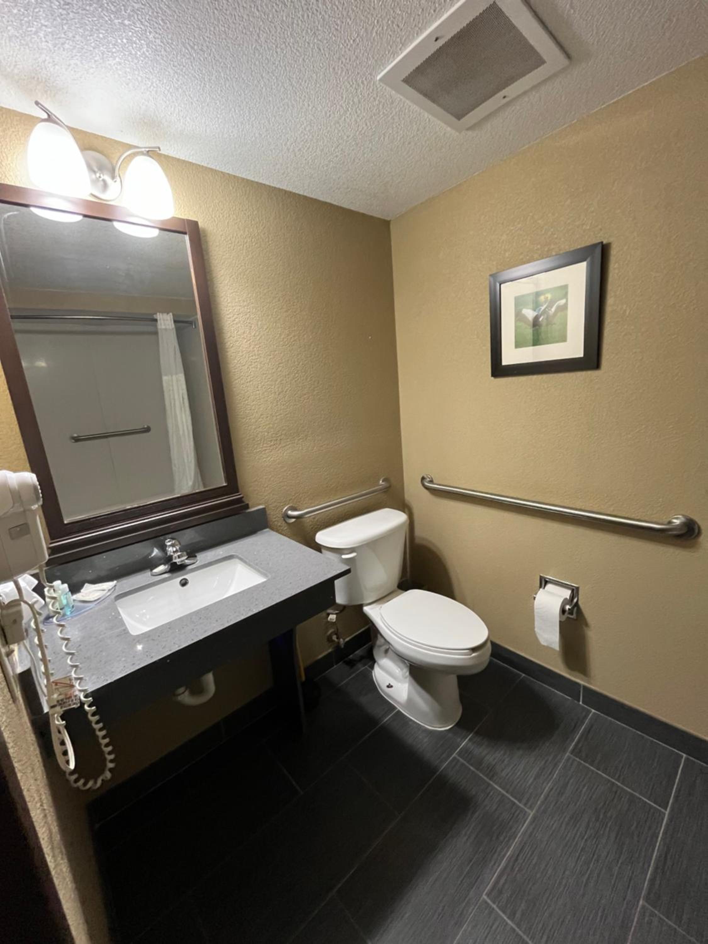 King Suite with Accessible Tub - Accessible/Non-Smoking photo 3