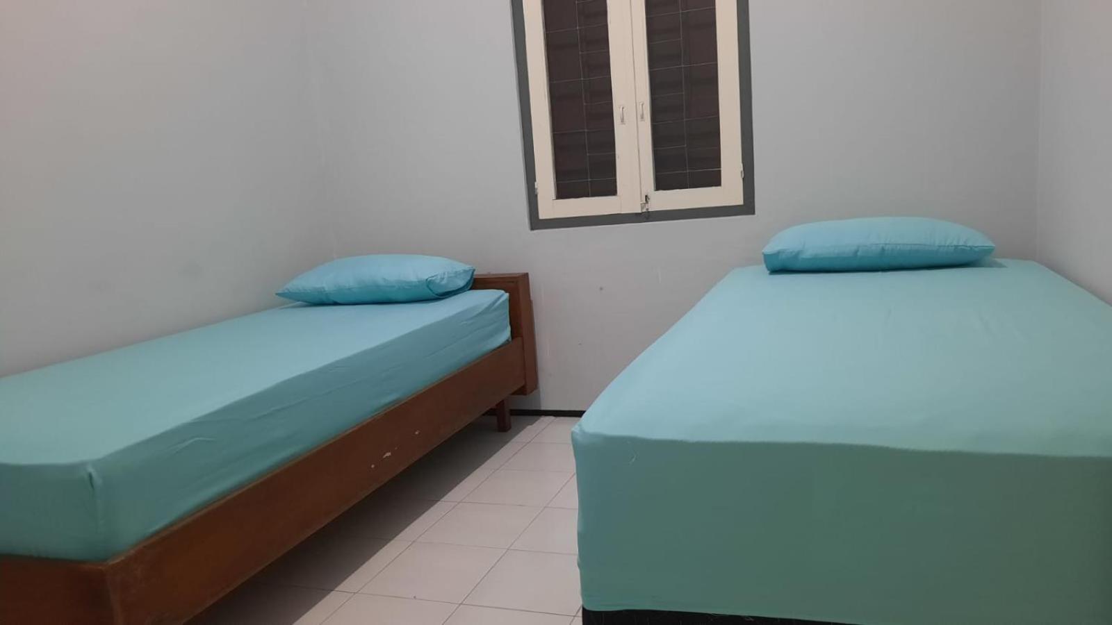 Twin Room photo 2