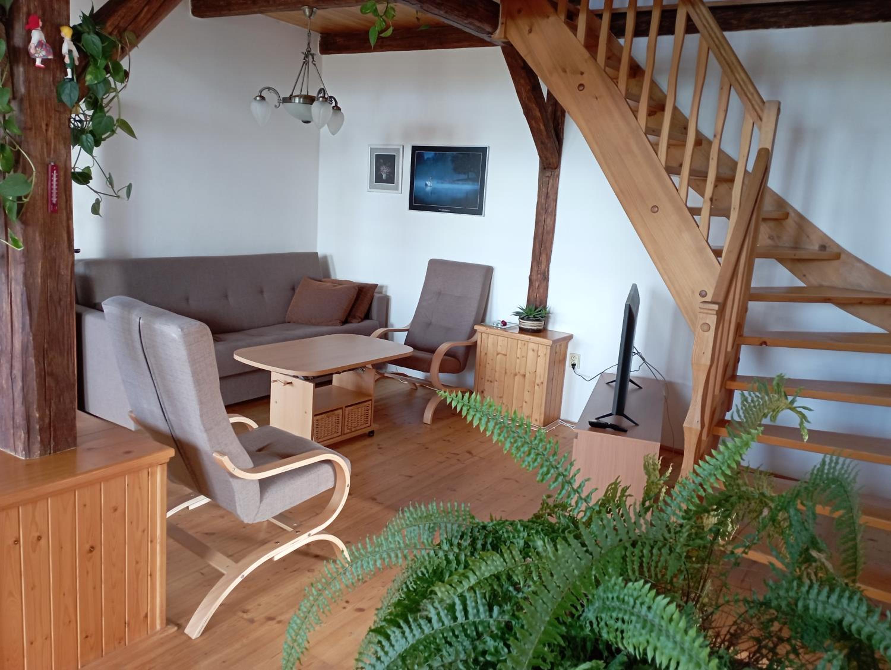 Deluxe Apartment