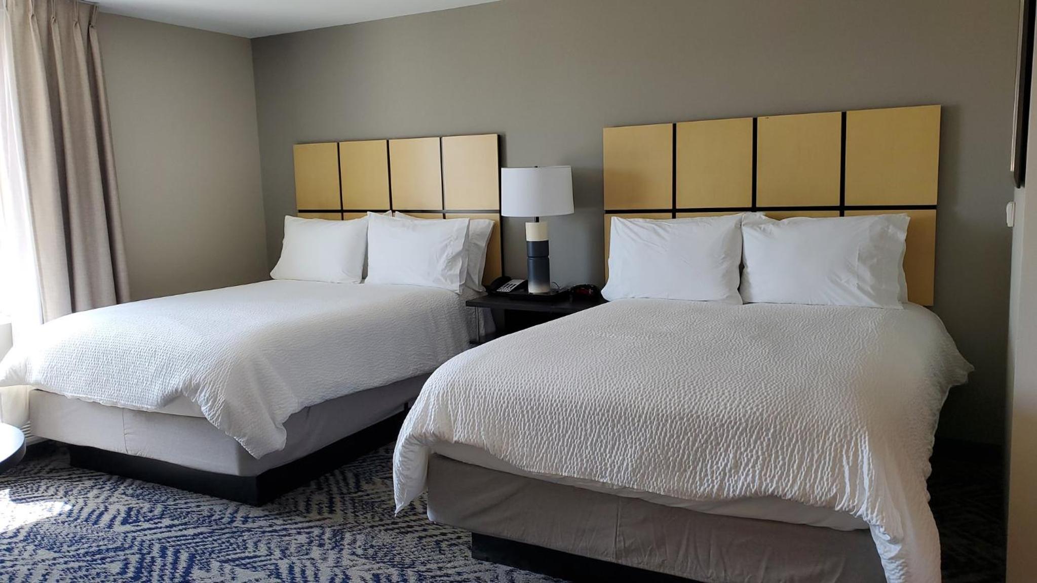 Studio Suite with Two Queen Beds