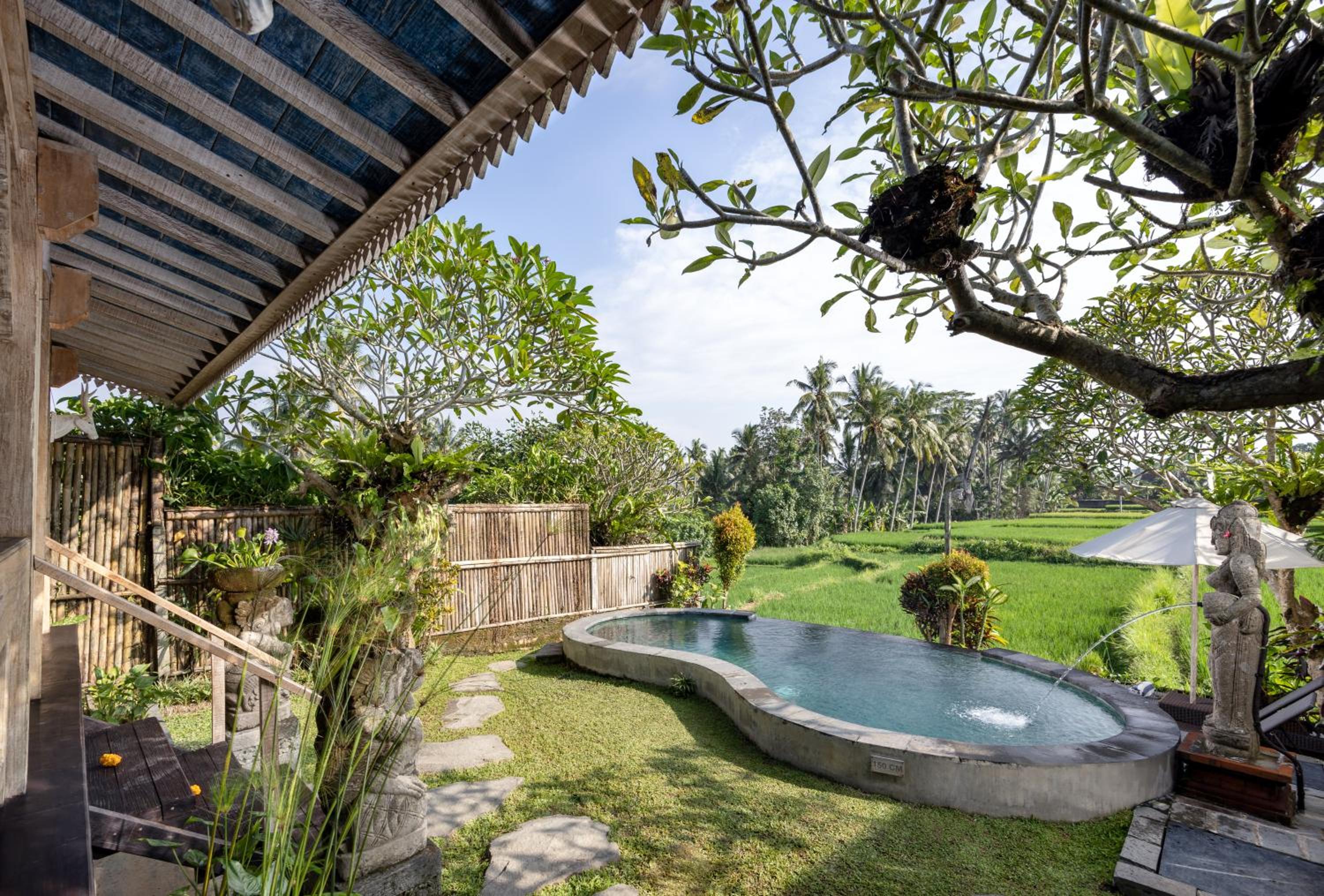 One-Bedroom Villa - Photo 5