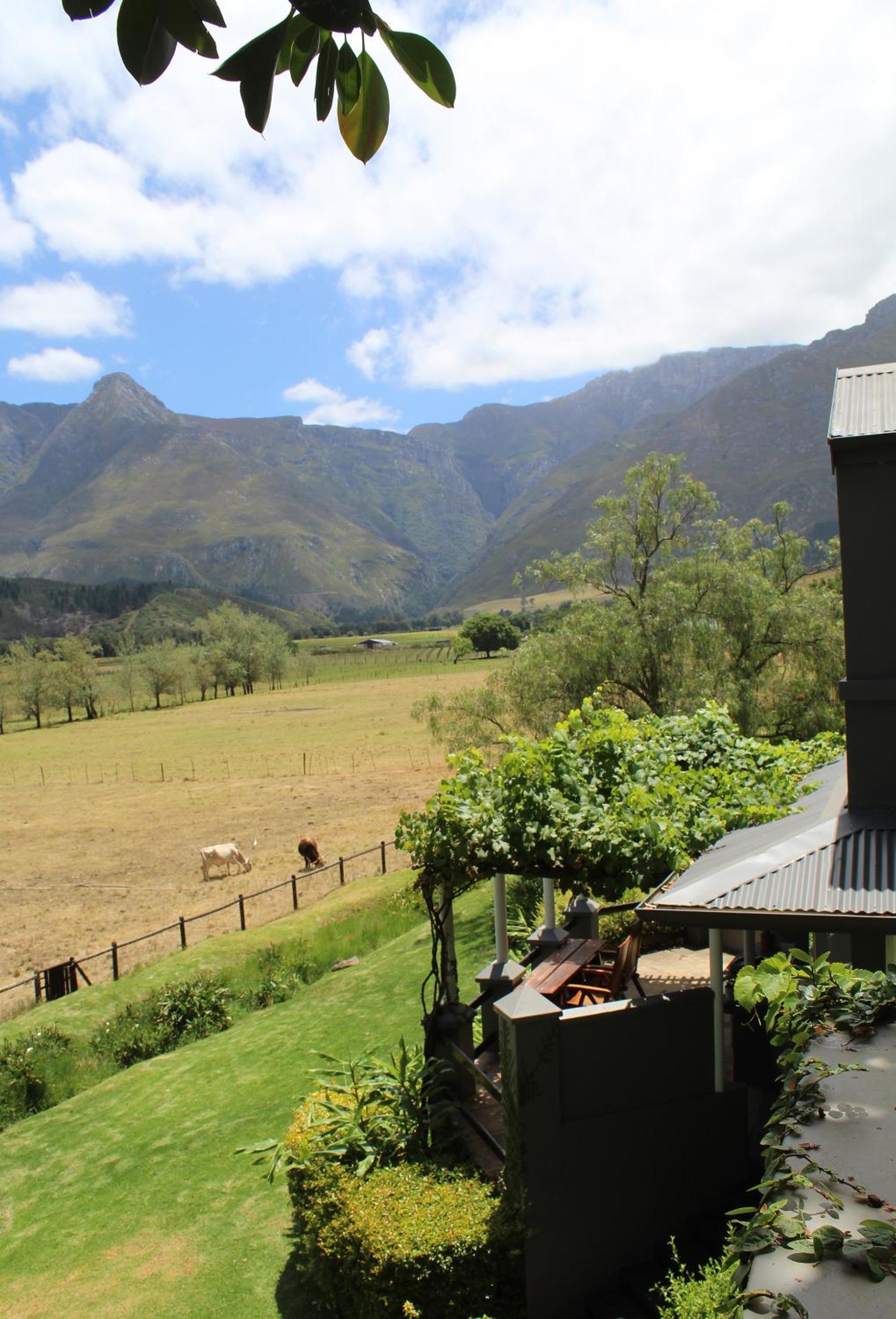 Suite with Mountain View