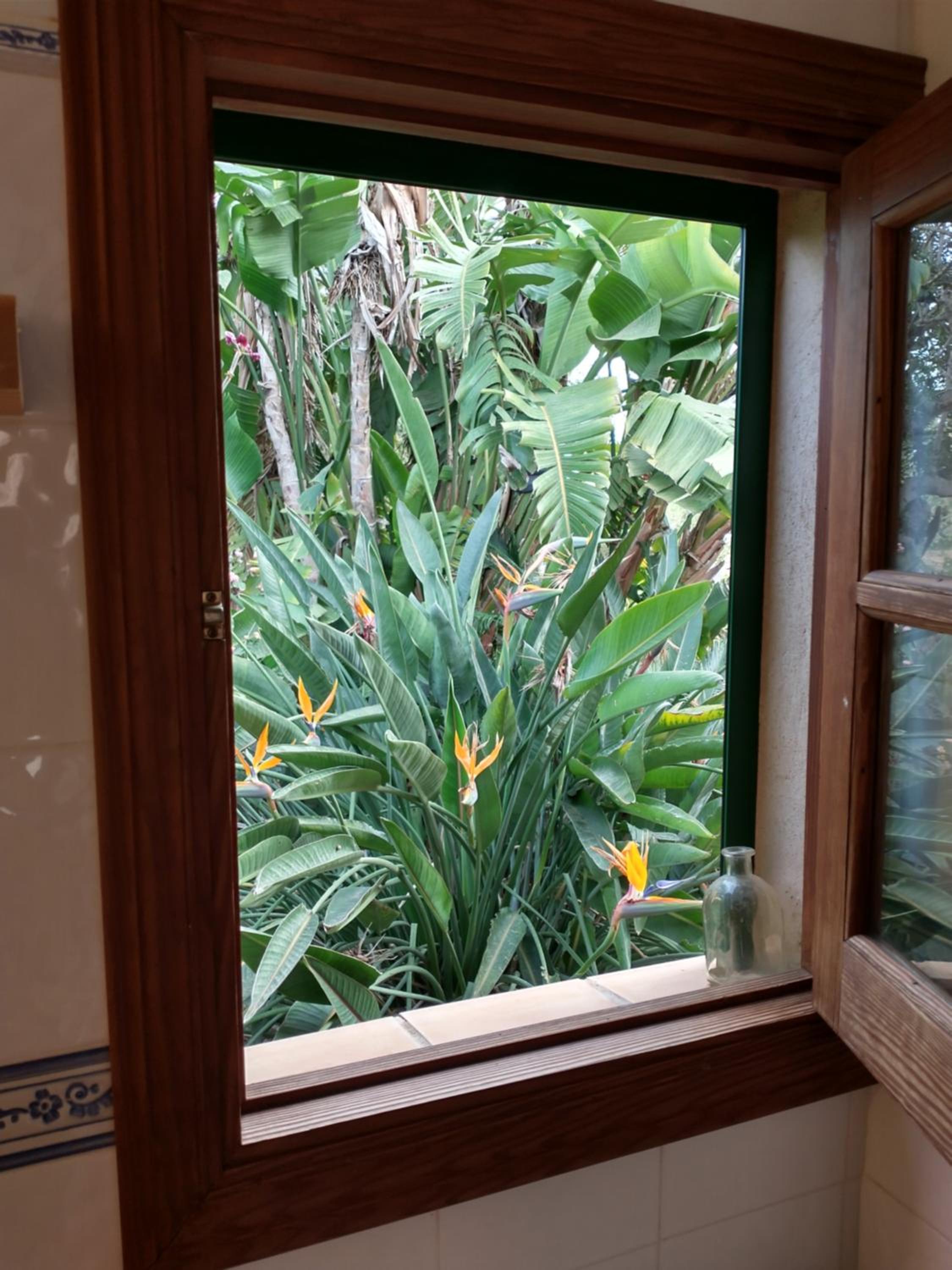 Studio with Terrace, Pool View and Garden View photo 3