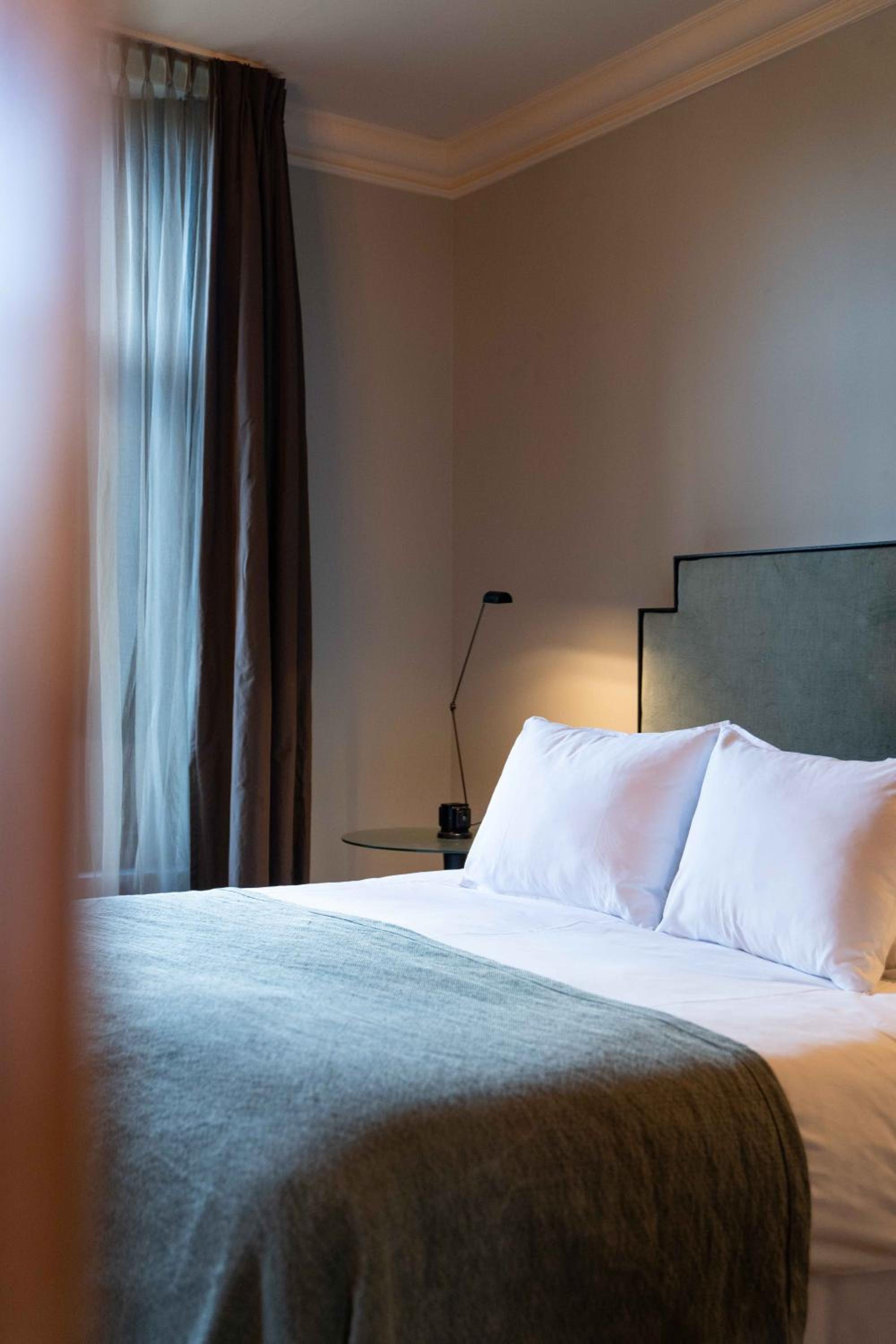 Suite - Photo 1