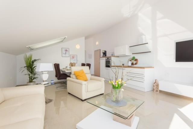 Penthouse Apartment