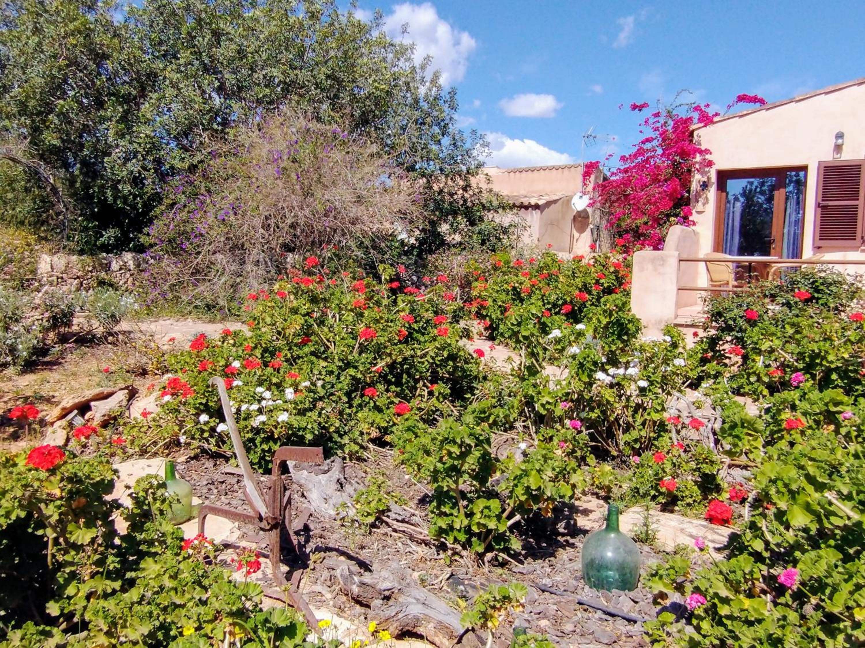 Studio with Terrace and Garden View photo 2