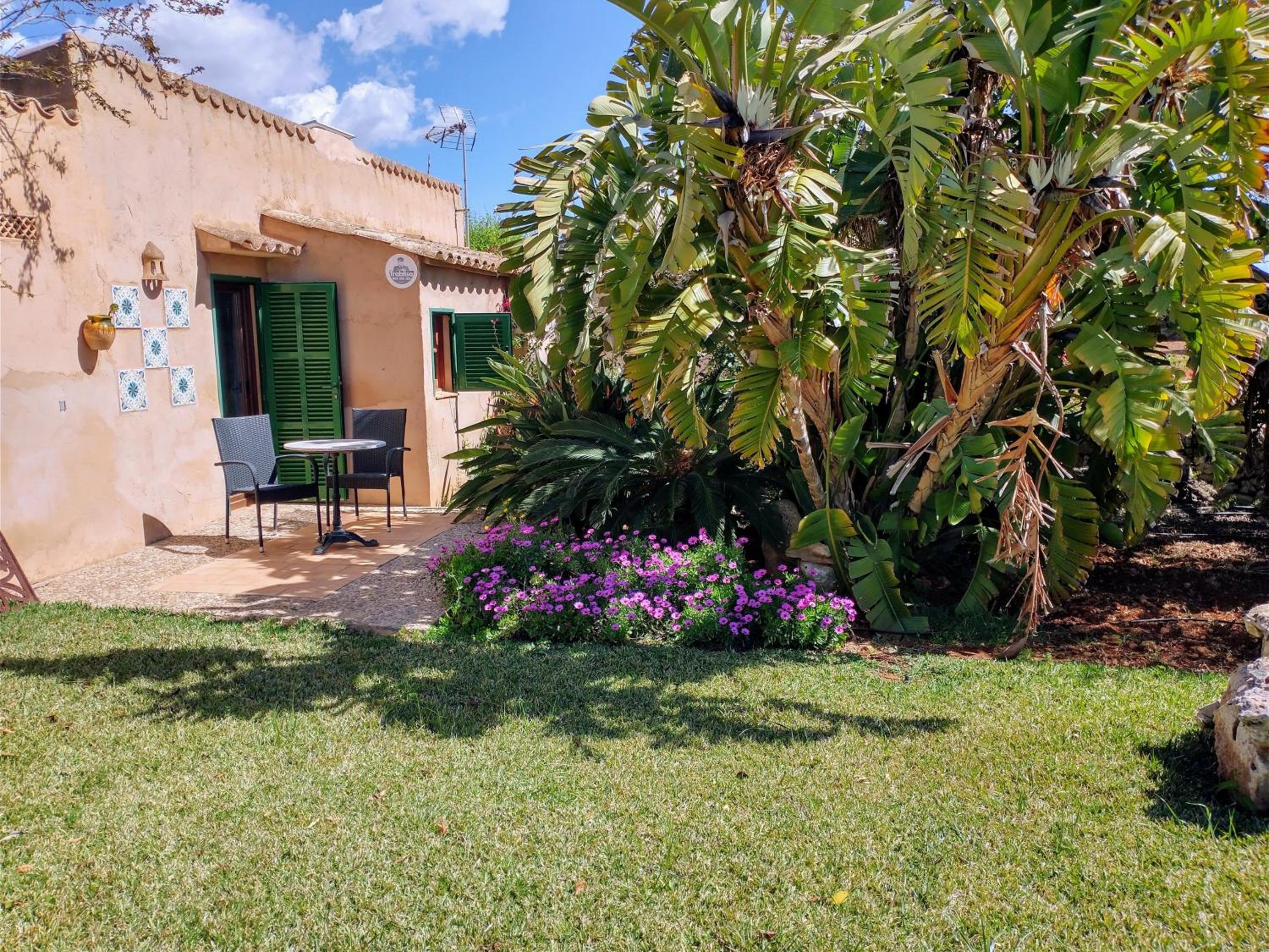 Studio with Terrace, Pool View and Garden View photo 2