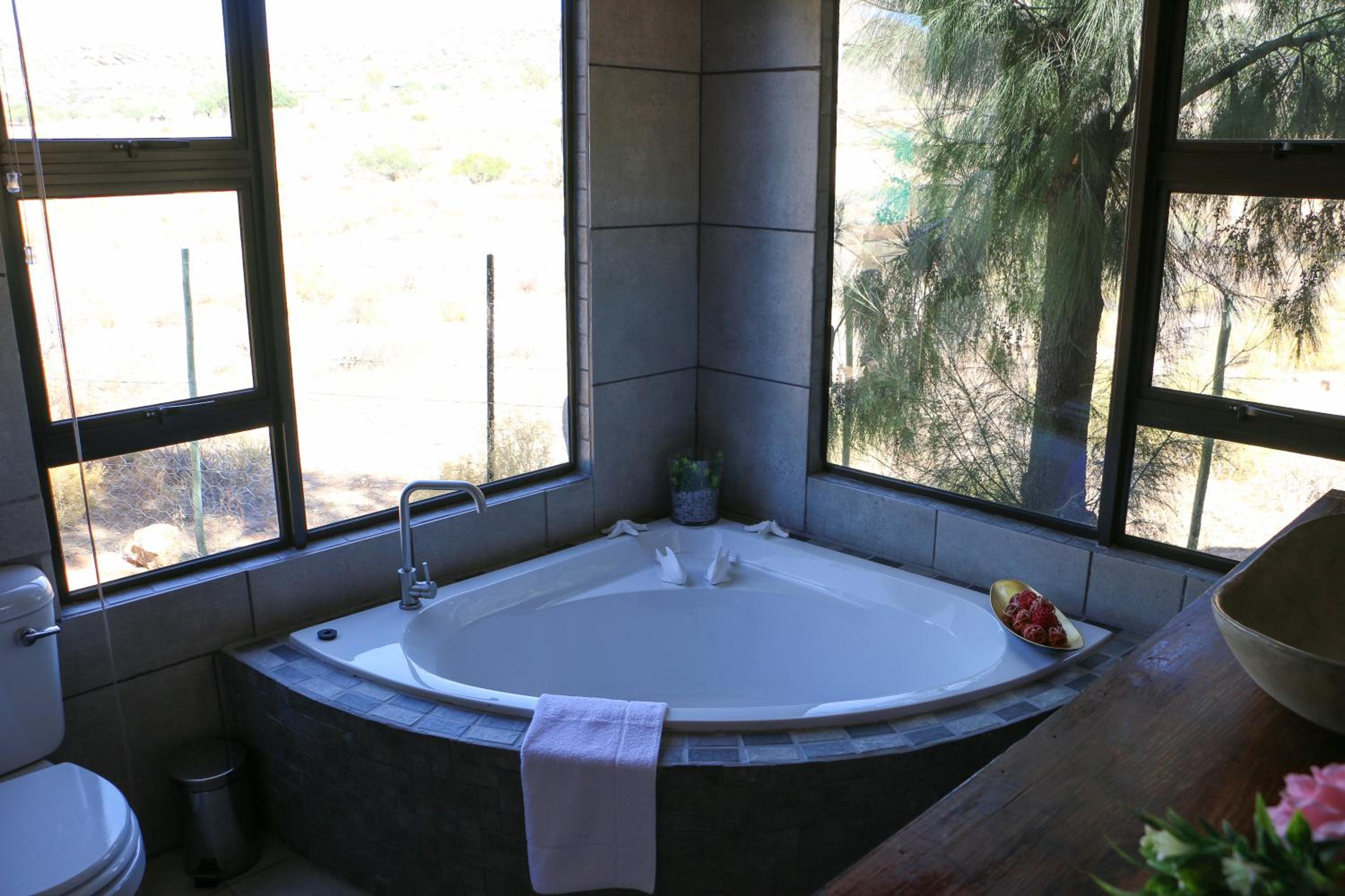 Deluxe Double or Twin Room photo 3