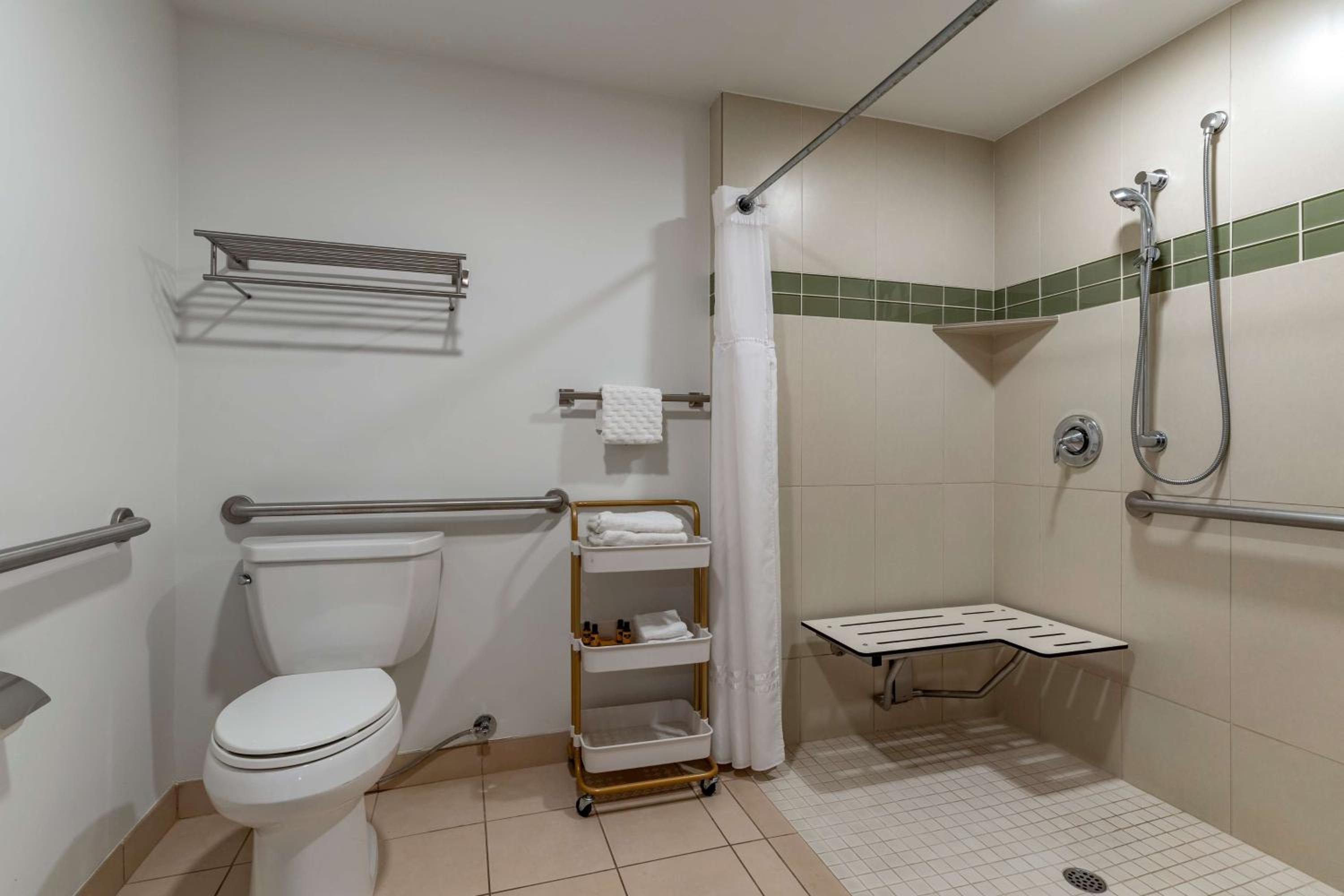 King Room with Roll-in Shower - Mobility Accessible/Non-Smoking - Photo 4