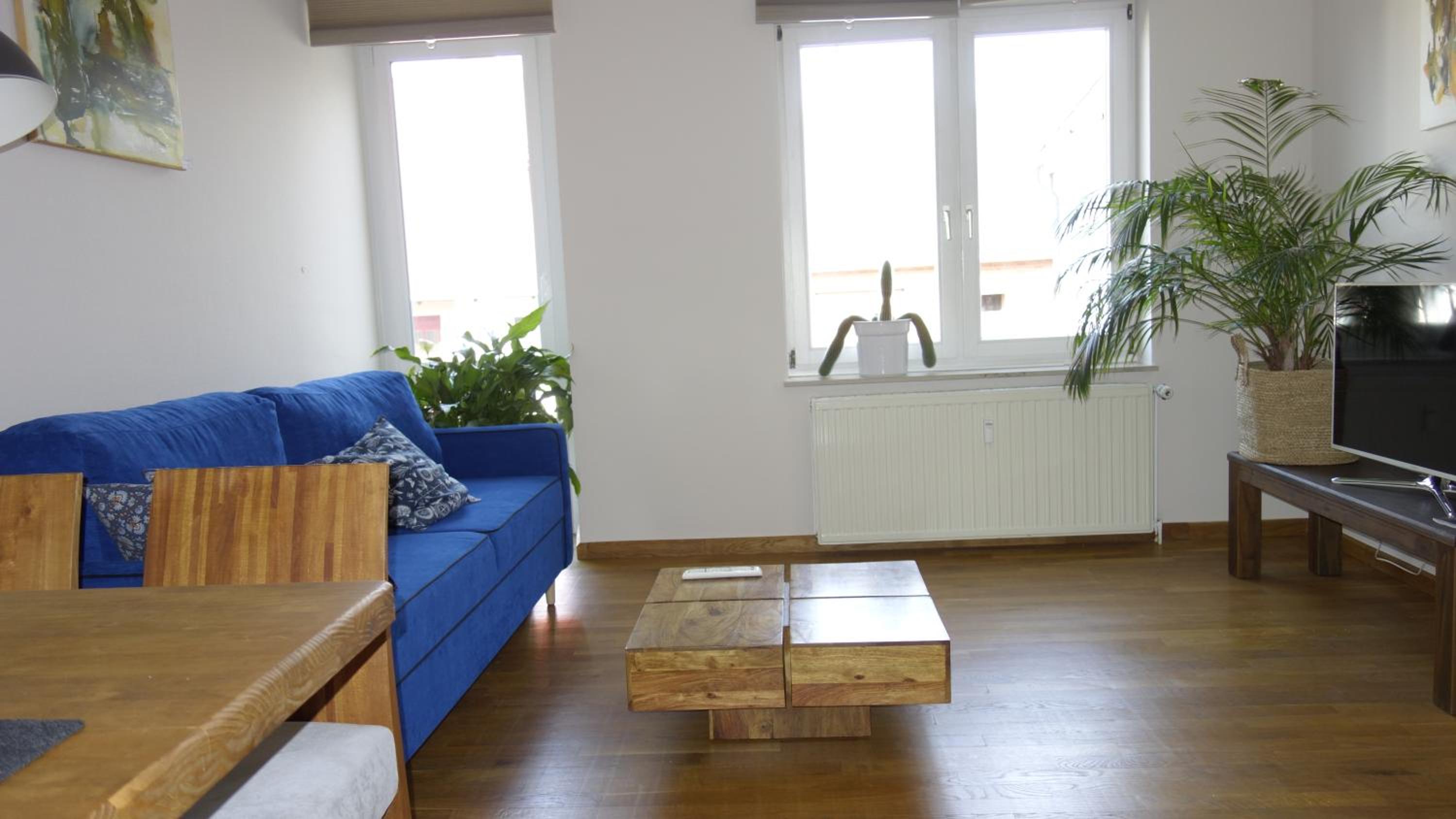 One-Bedroom Apartment photo 3