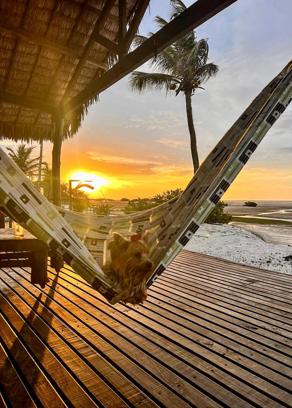 Bungalow - Beach Front - Photo 7