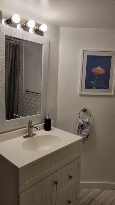 One-Bedroom Apartment photo 3