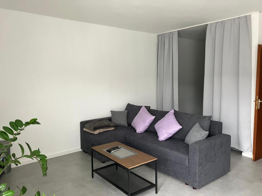 One-Bedroom Apartment photo 3