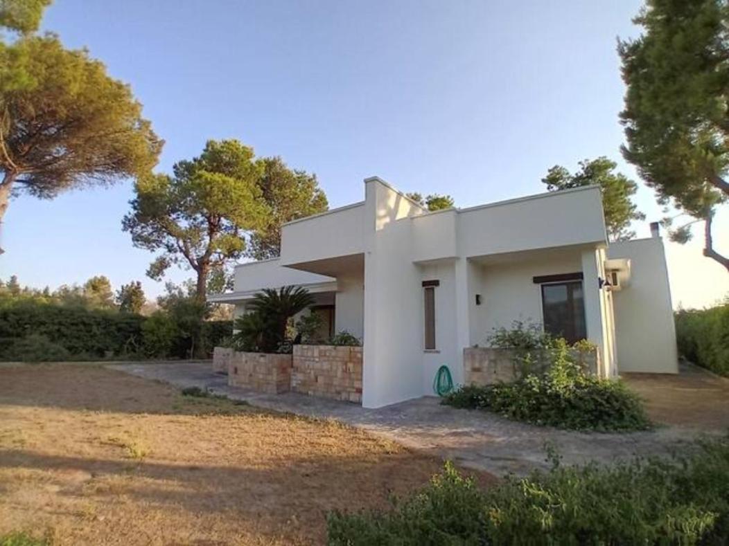 One-Bedroom Villa photo 2