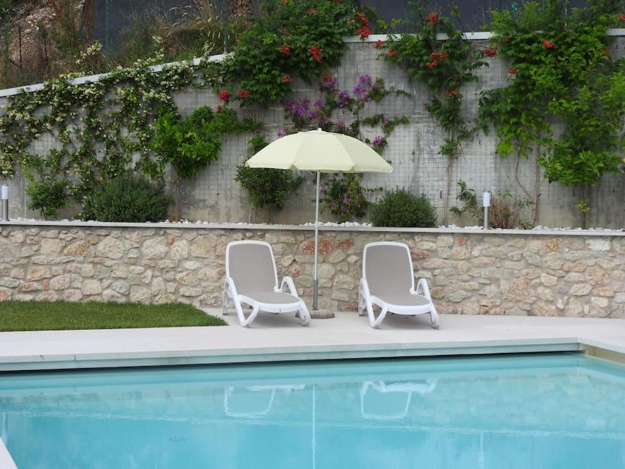 Studio with Terrace photo 2