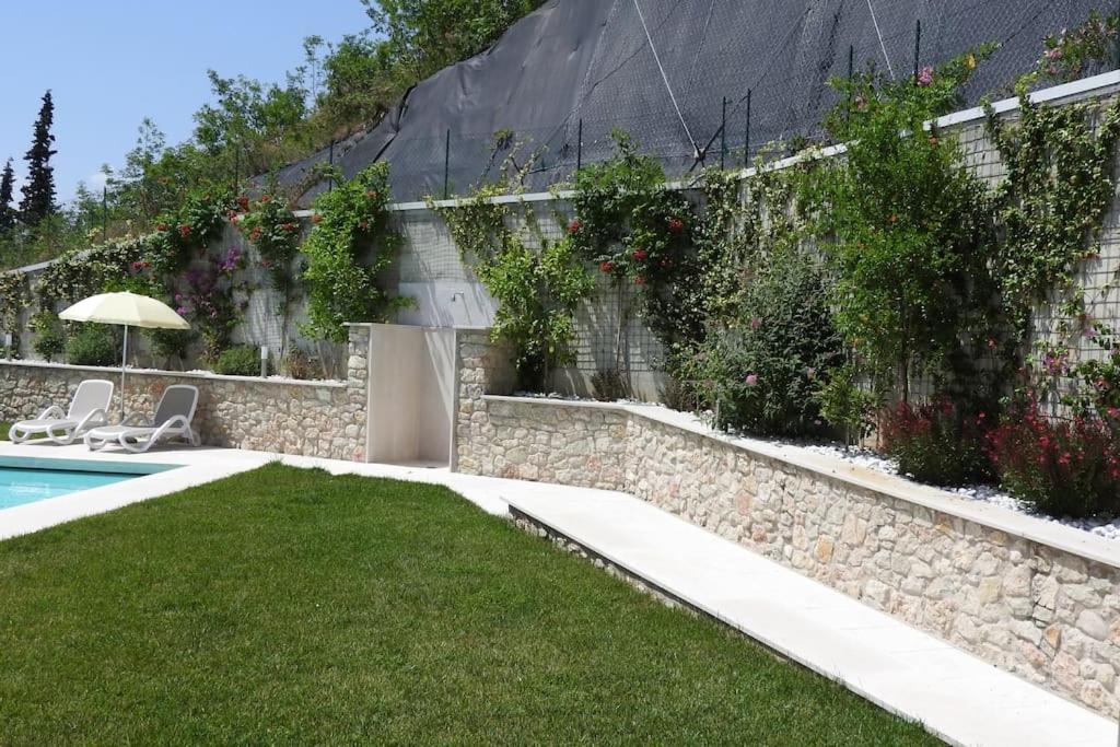 Studio with Terrace photo 3