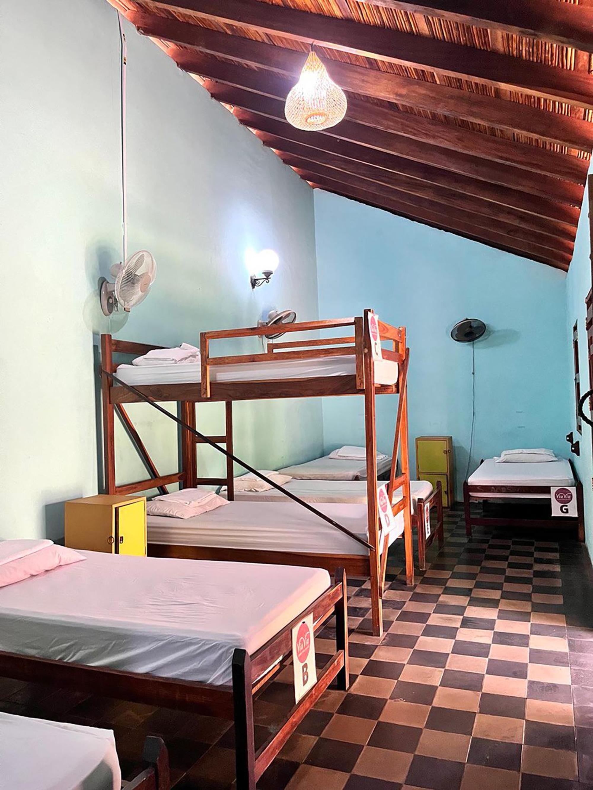 Single Bed in Mixed Dormitory Room photo 1