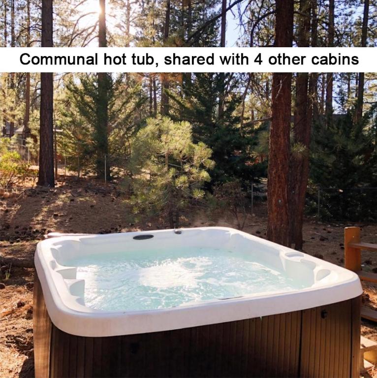 Sleep Inn / C2 1 bedroom cabin + loft + sleeper couch) photo 2