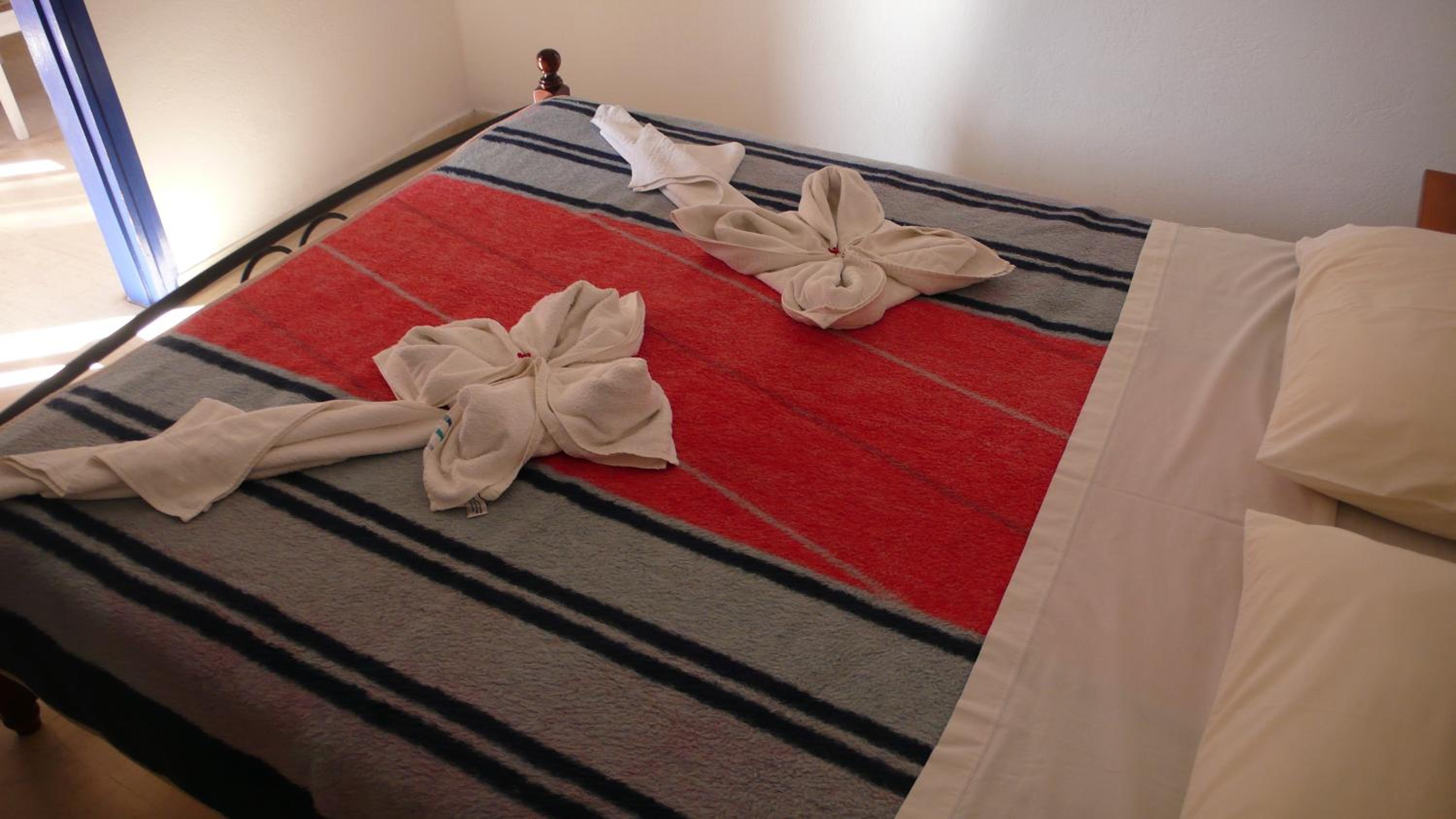 Superior Apartment - Photo 8