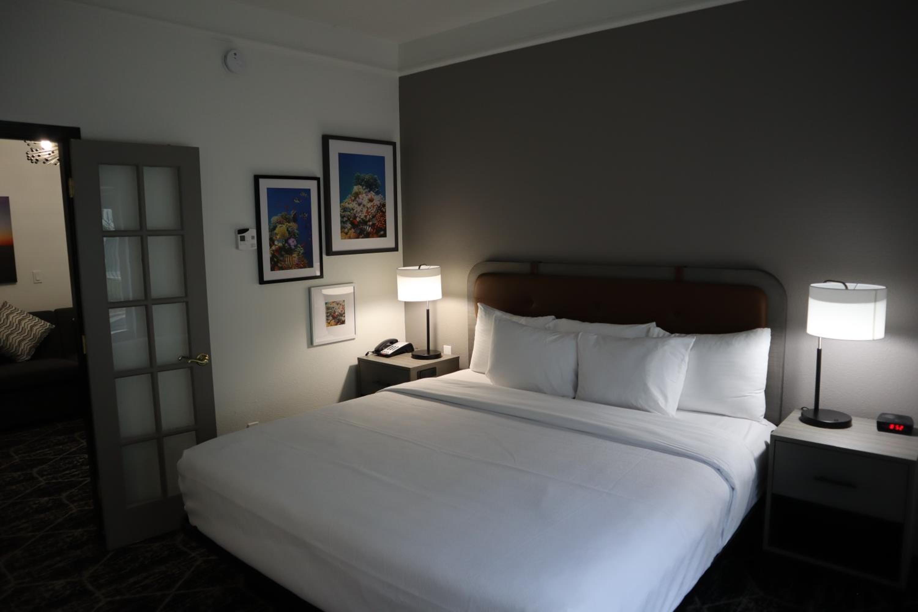 King Room - Non-Smoking - Photo 5