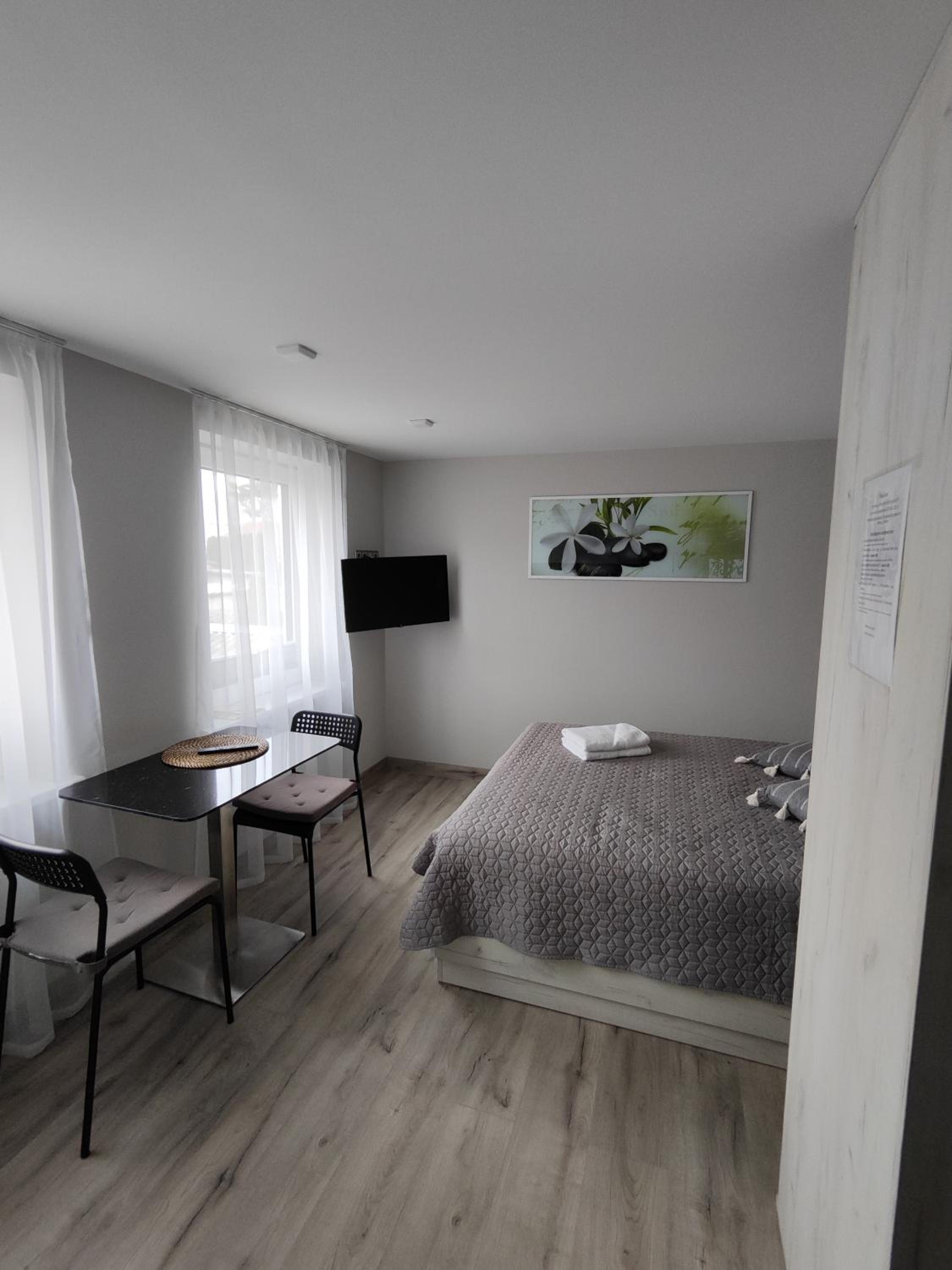 One-Bedroom Apartment photo 3