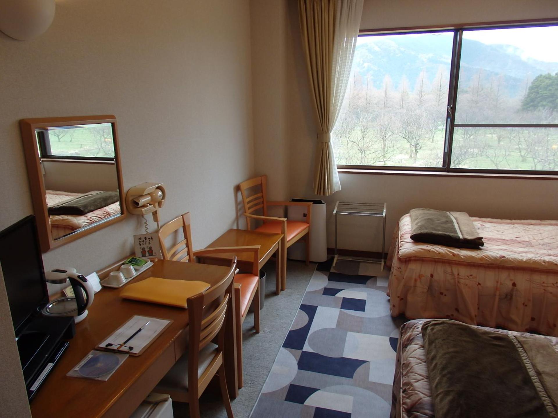 Twin Room - Photo 4