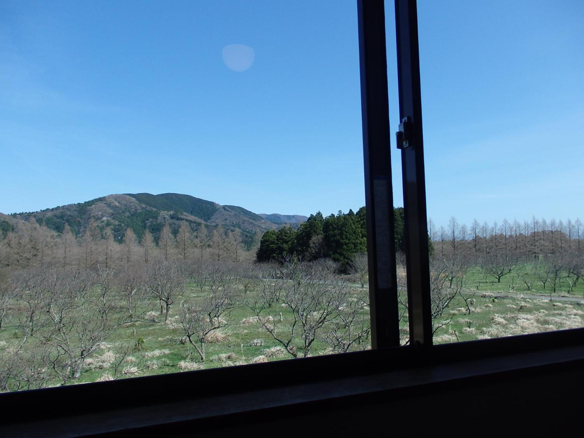 Twin Room - Photo 11