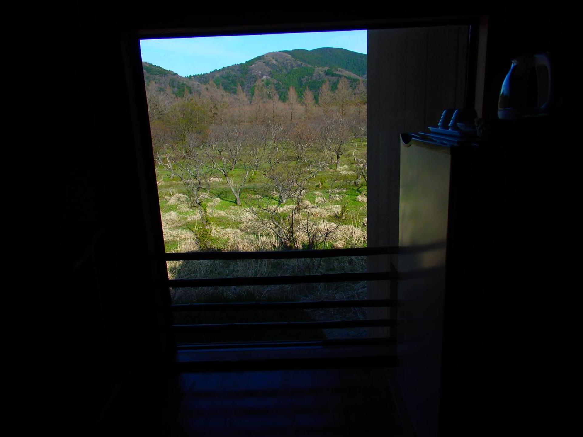 Japanese-Style Room - Photo 12