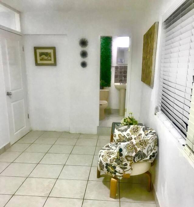 One-Bedroom Apartment photo 3