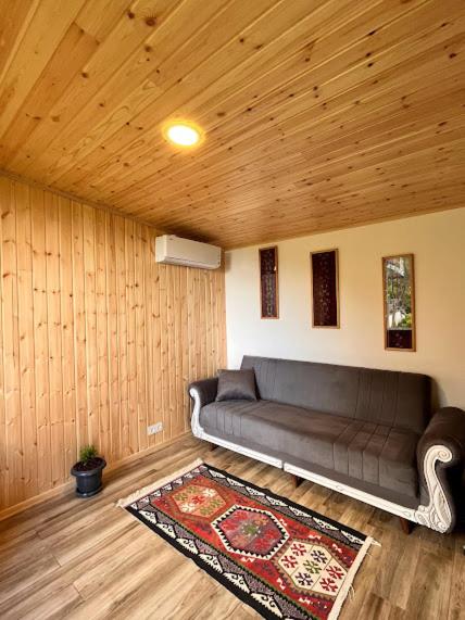 Two-Bedroom Villa photo 1