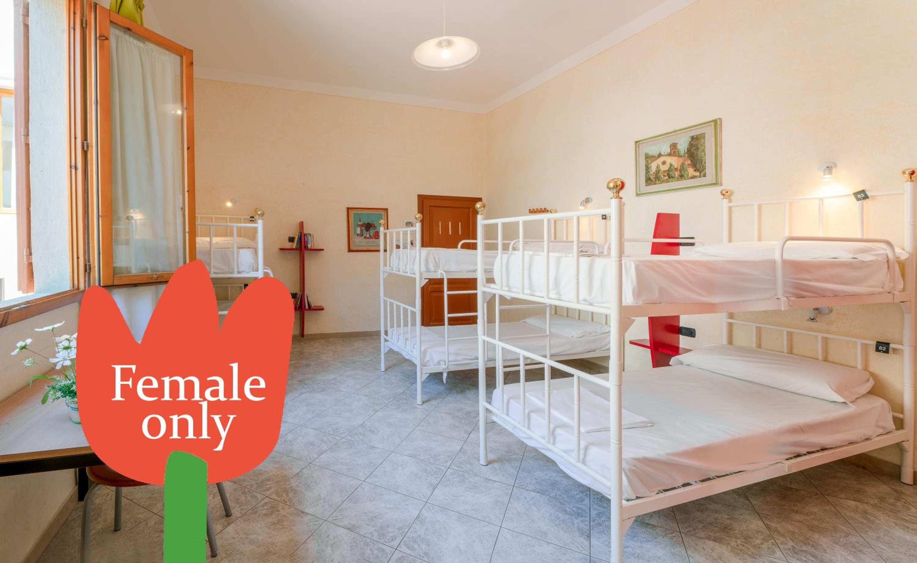 Bed in 4-Bed Female Dormitory Room photo 3