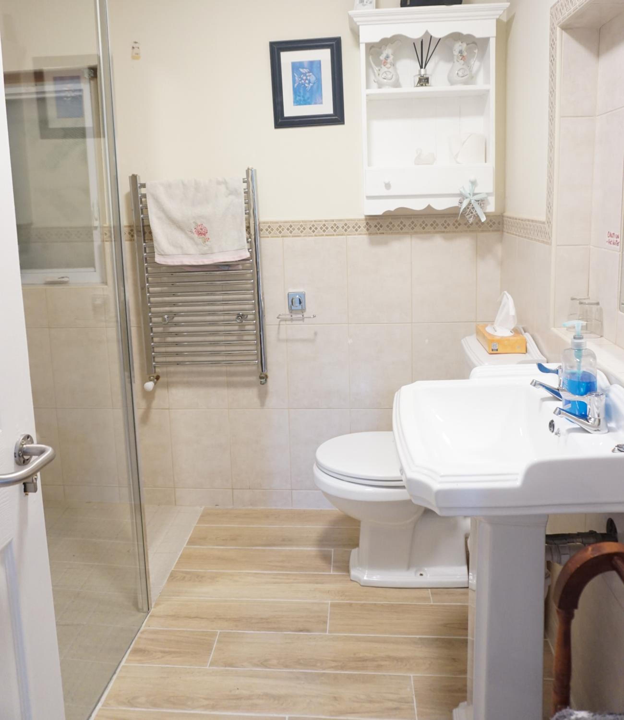 Deluxe Double or Twin Room photo 2