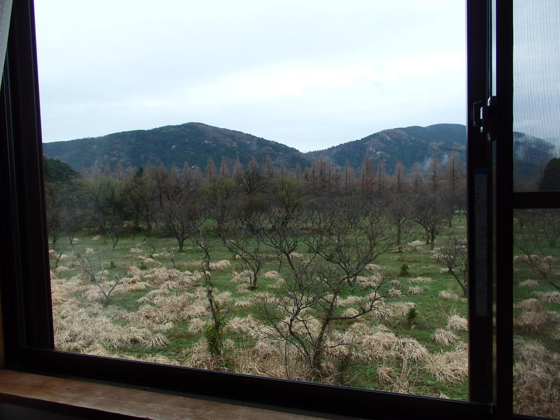Twin Room - Photo 10