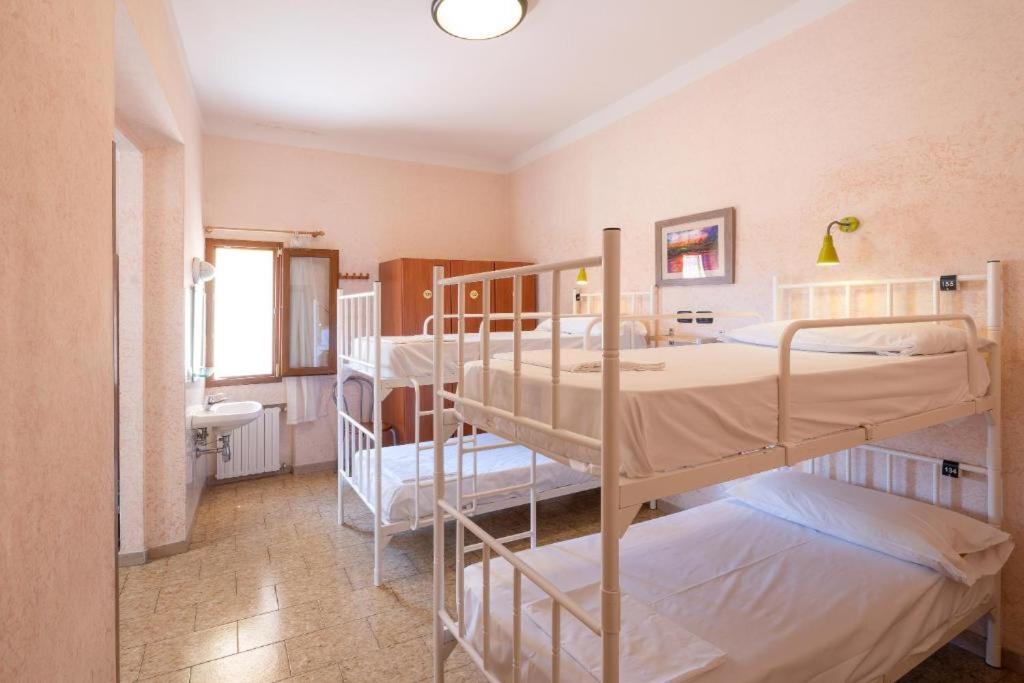 Single Bed in 6-Bed Female Dormitory Room photo 1