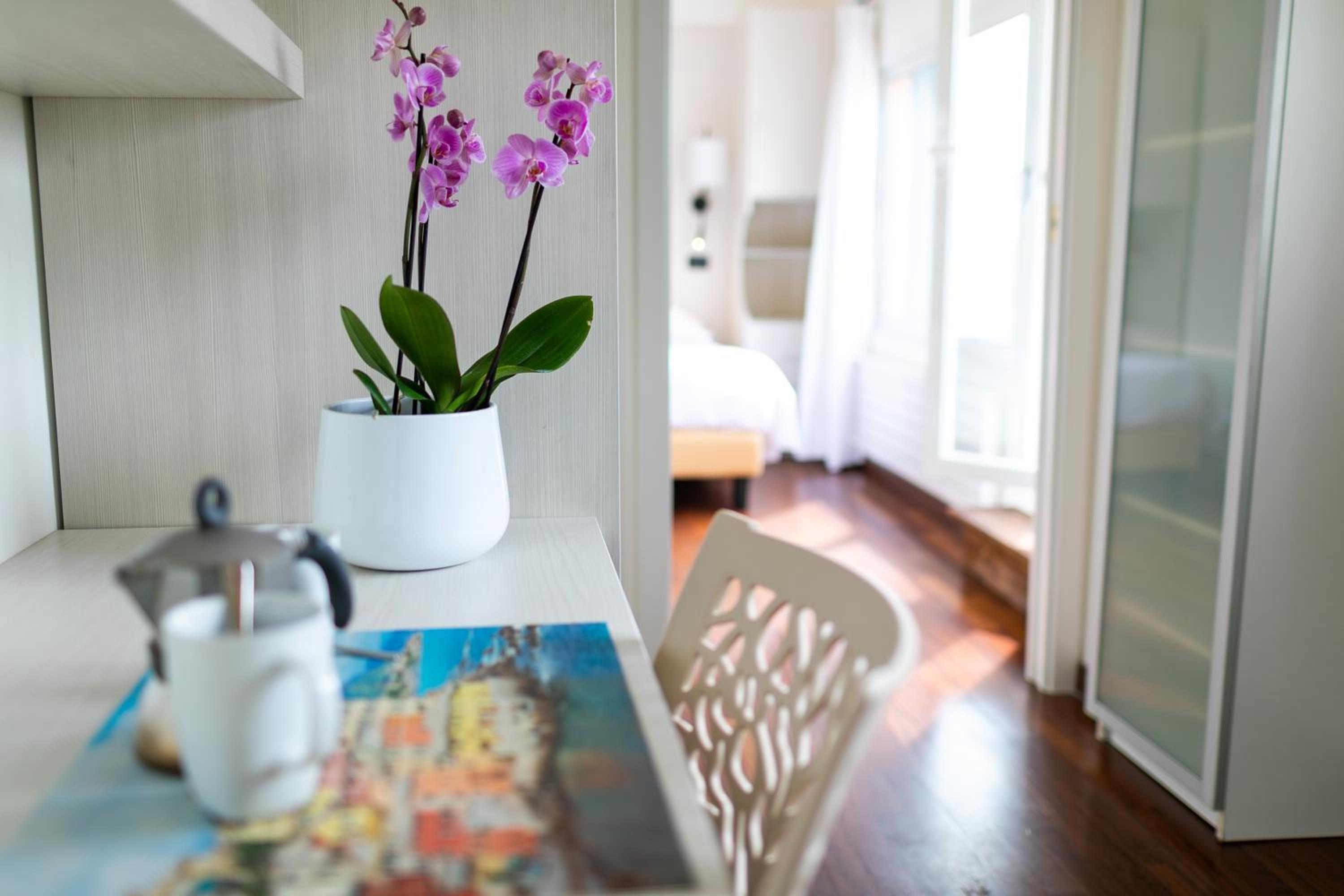 Junior Suite with Terrace