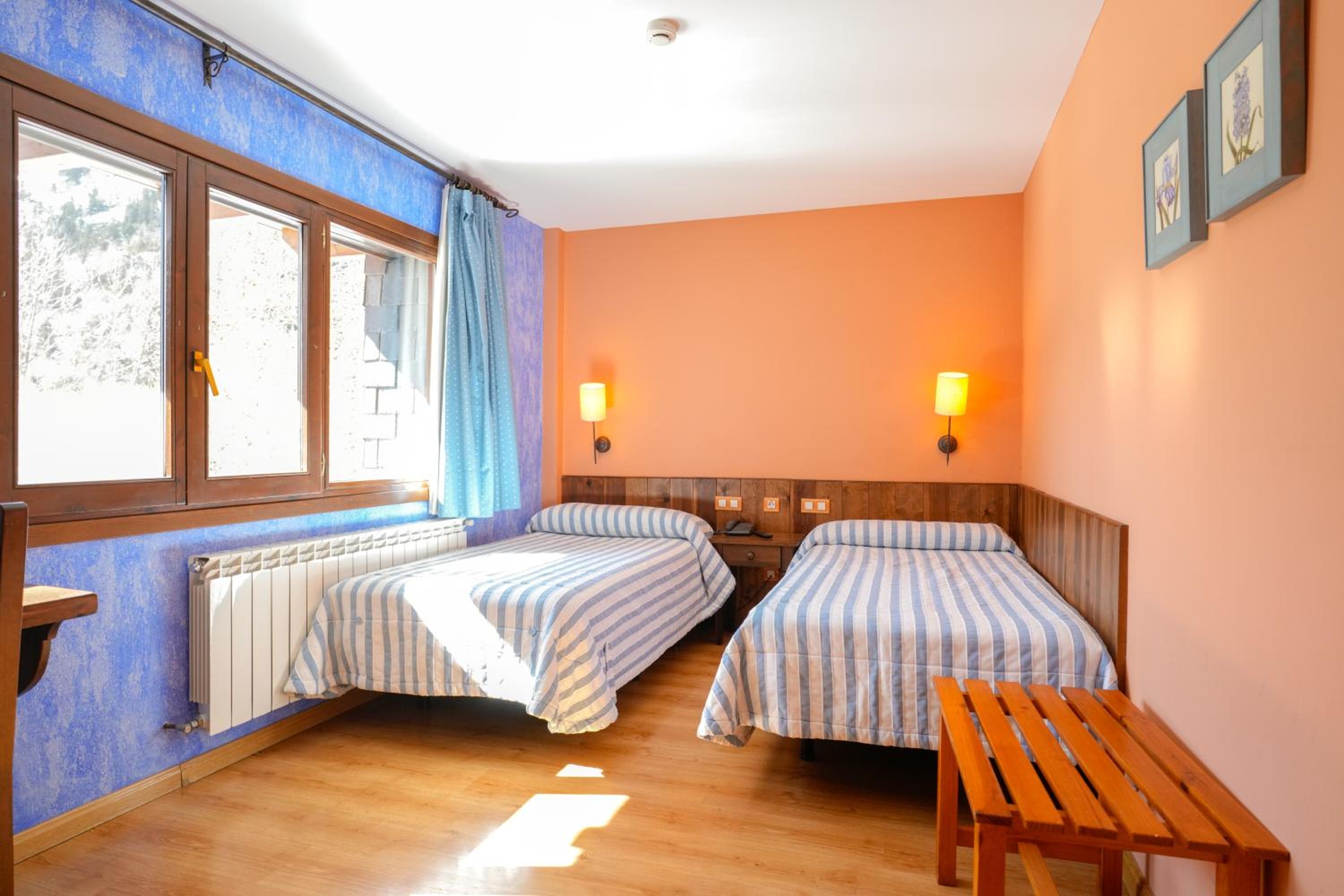 Double Room photo 3