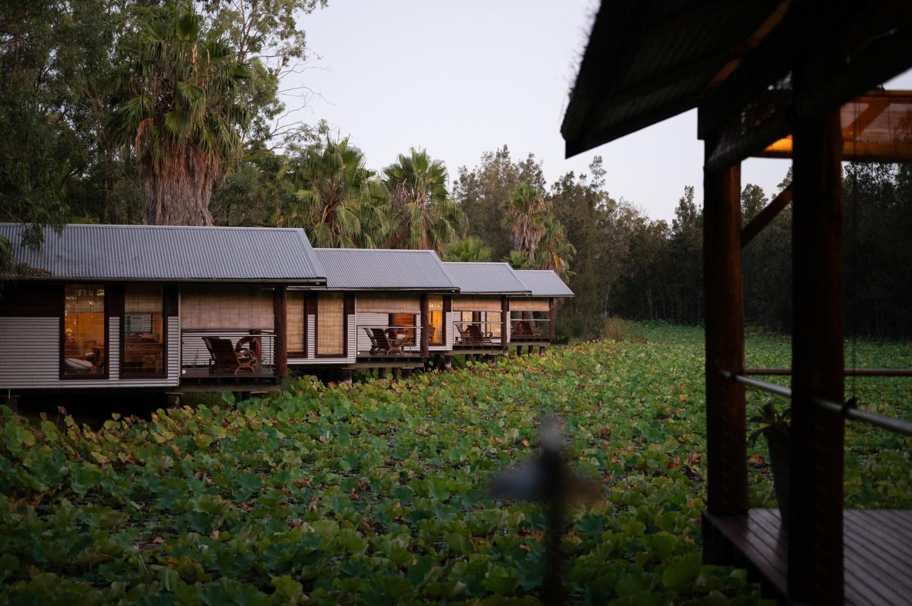 Superior Villa photo 1