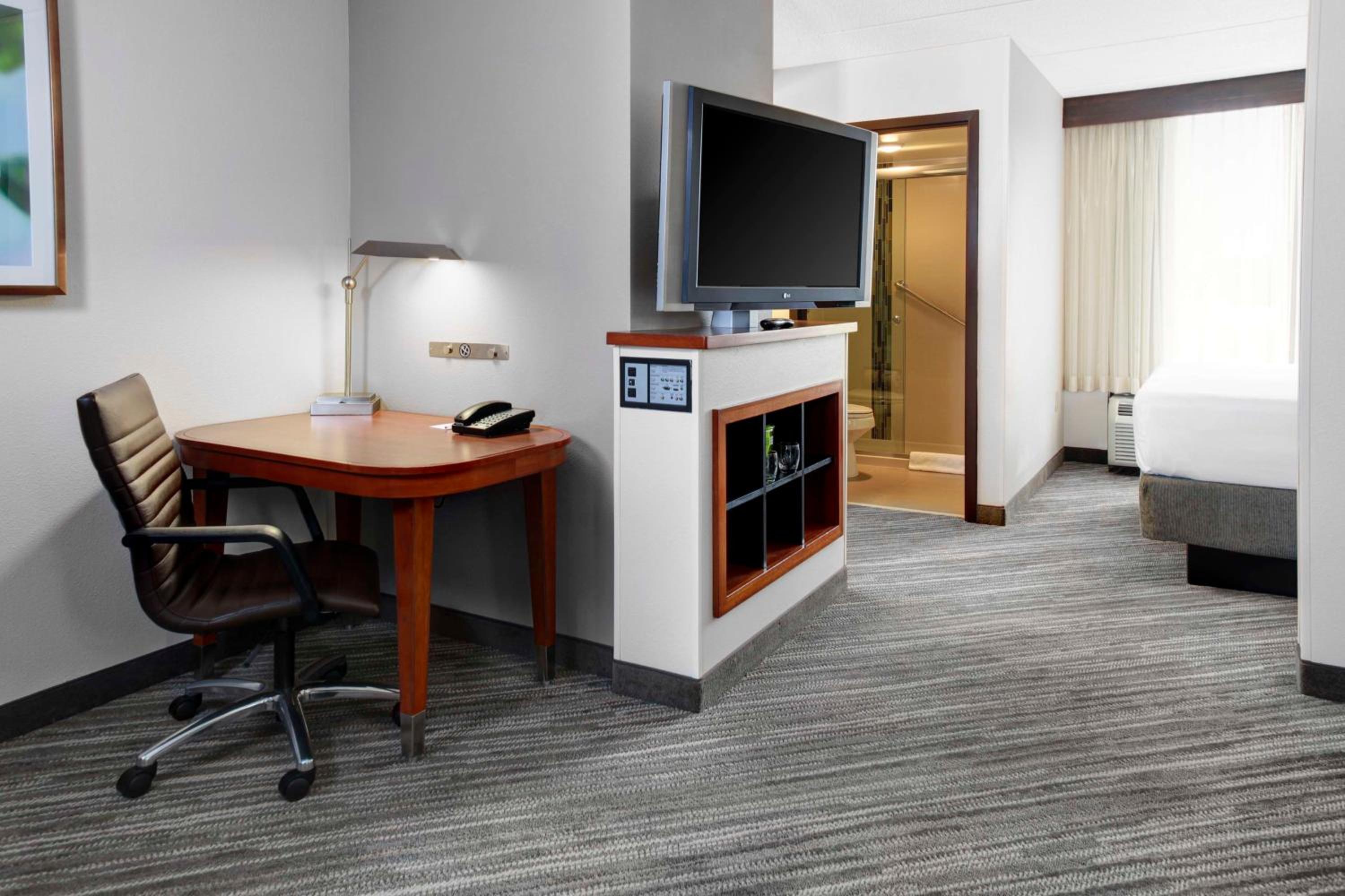 Specialty King Room with Sofa Bed - Photo 14