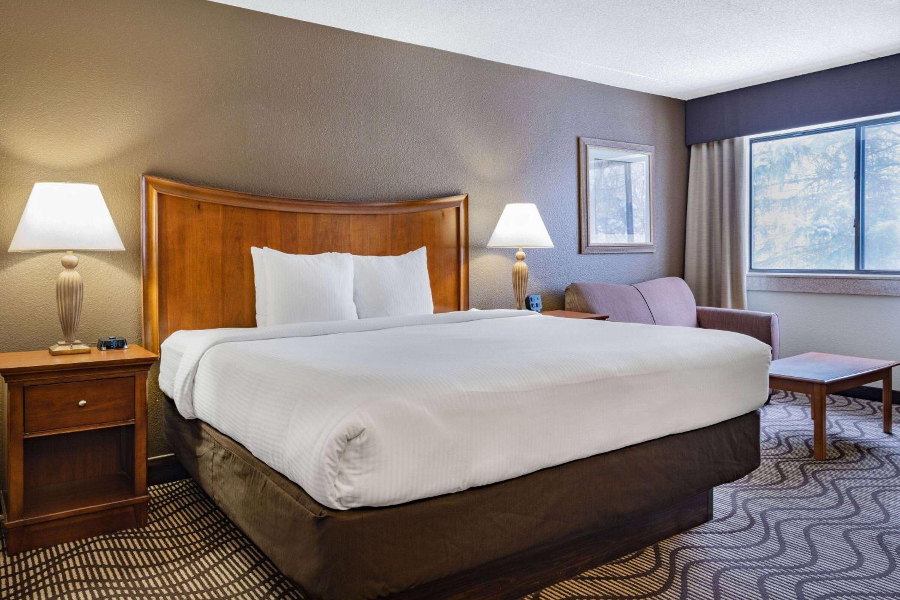 Executive King Room at La Quinta by Wyndham Minneapolis-Minnetonka in Minnetonka