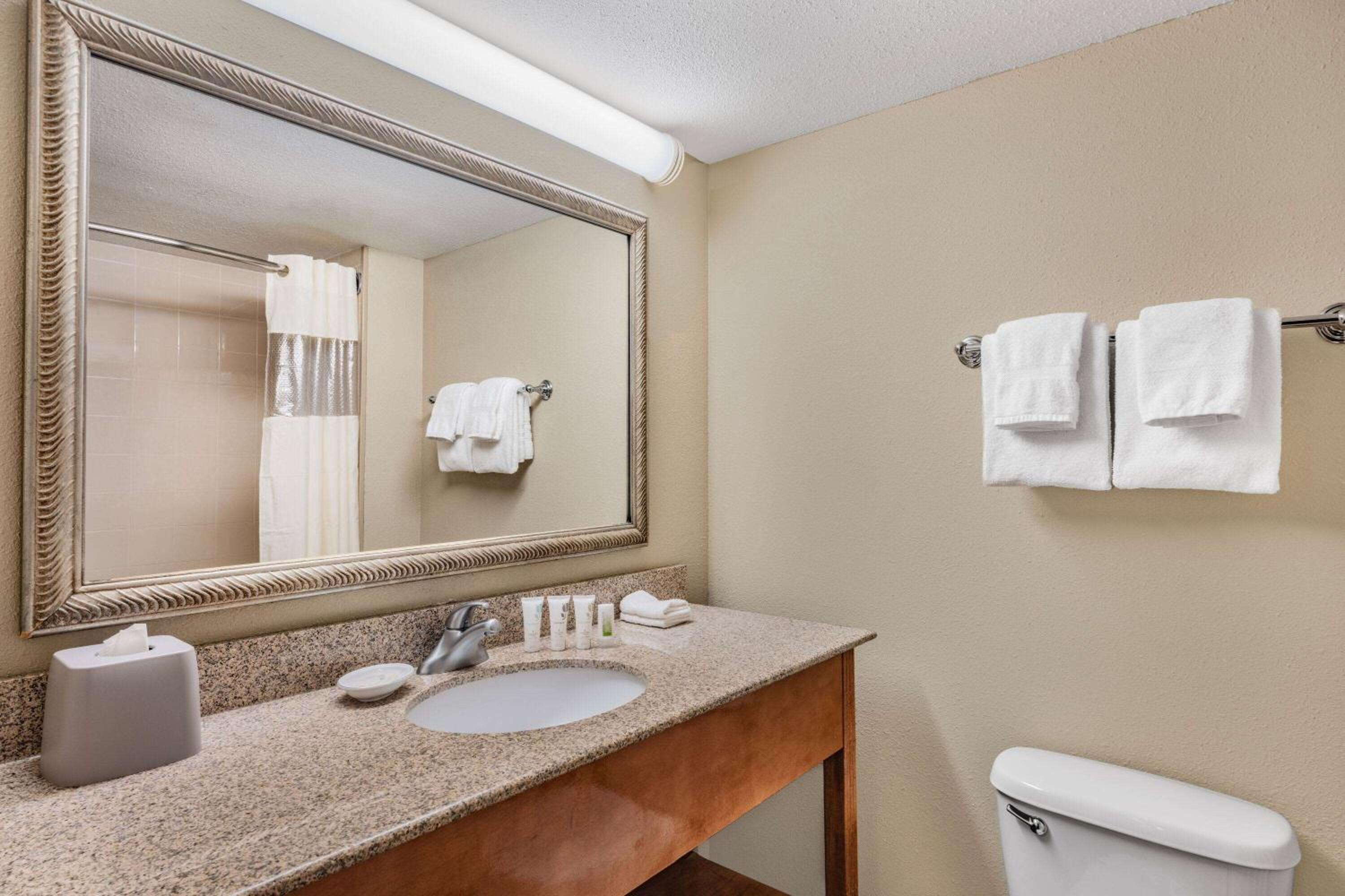 Single Room With Double Beds - Photo 6