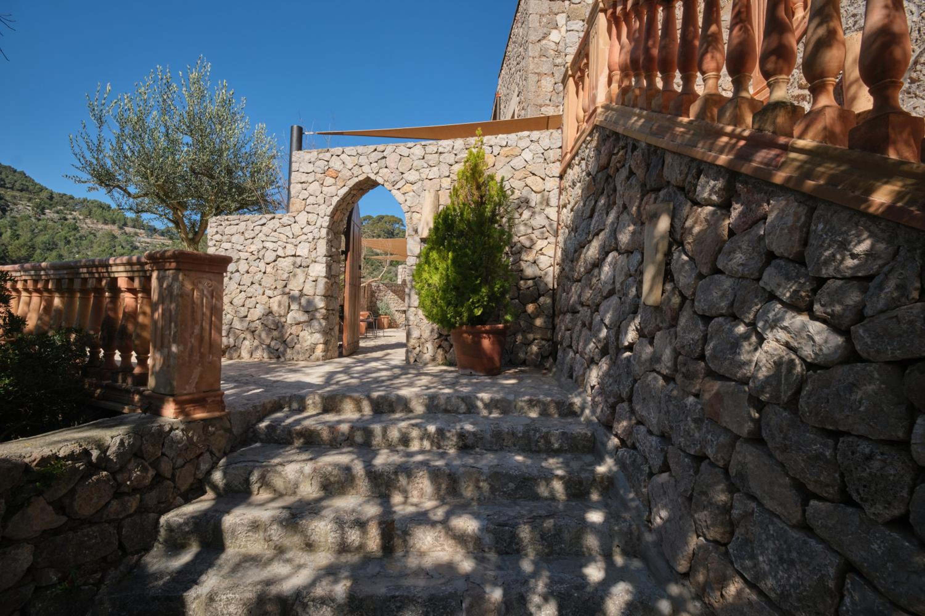 Suite con Terraza