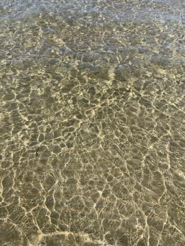 Villa - Beach Front photo 3