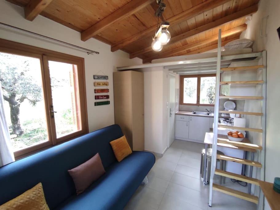 One-Bedroom House photo 3