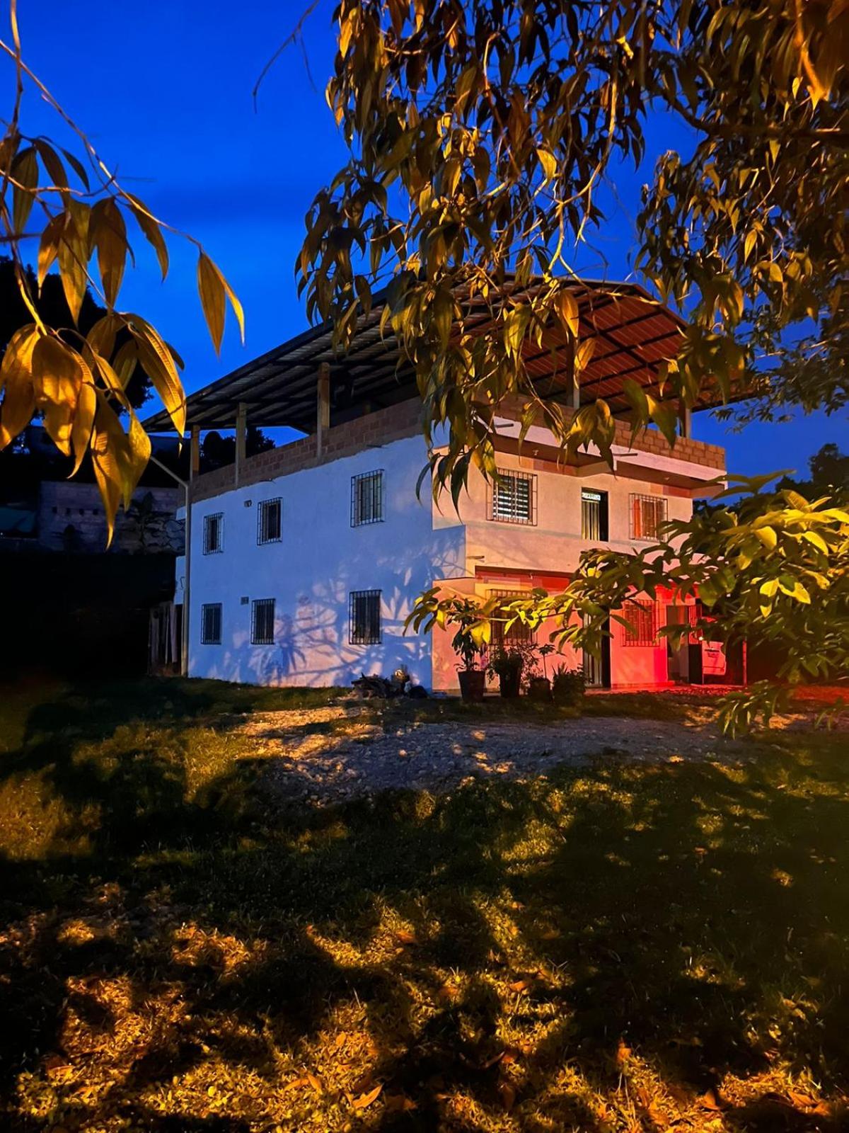 Four-Bedroom House photo 3