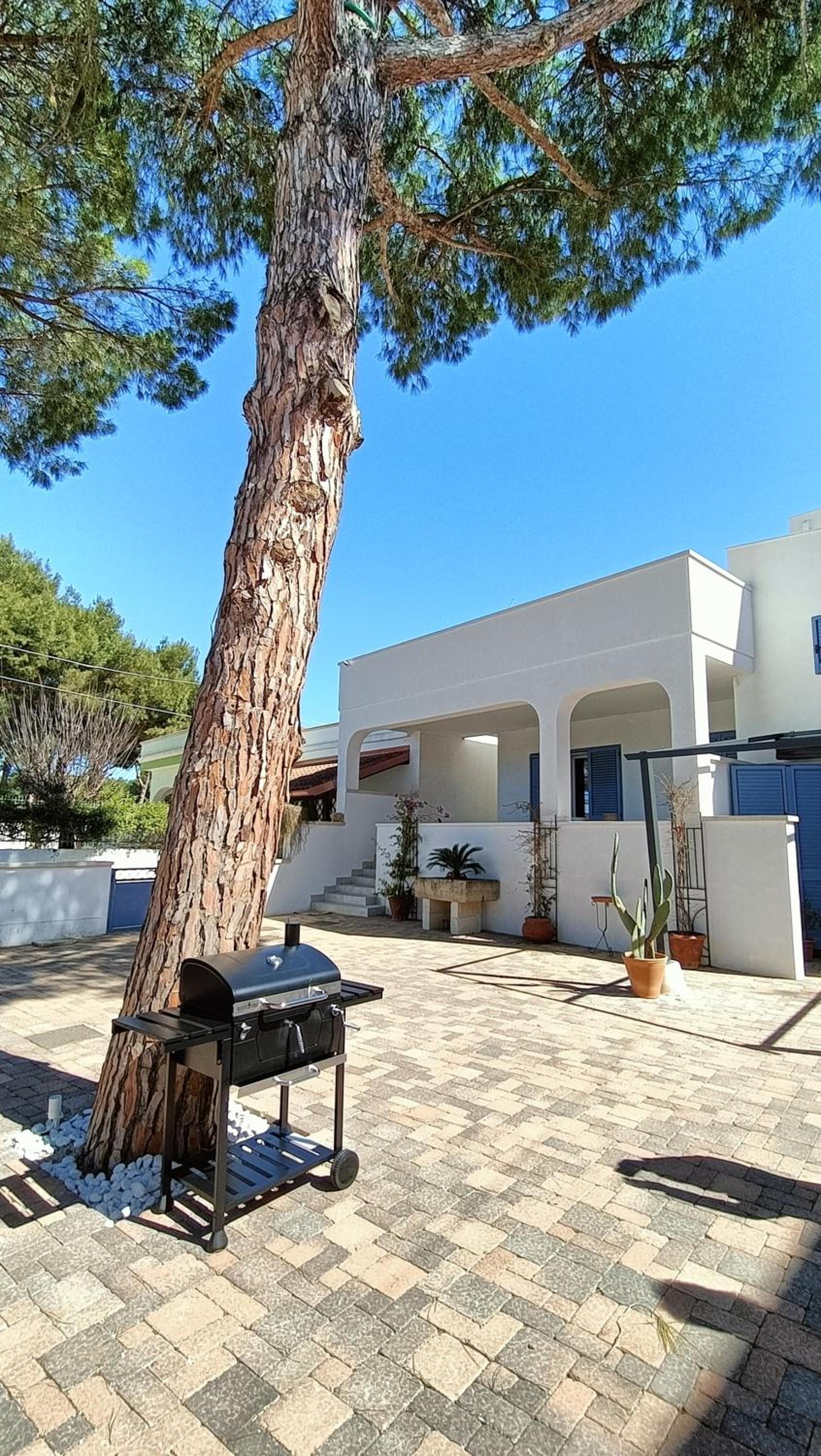 Apartment - Split Level photo 2