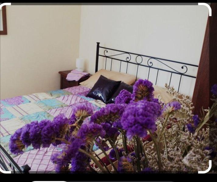 Triple Room with Bathroom photo 2