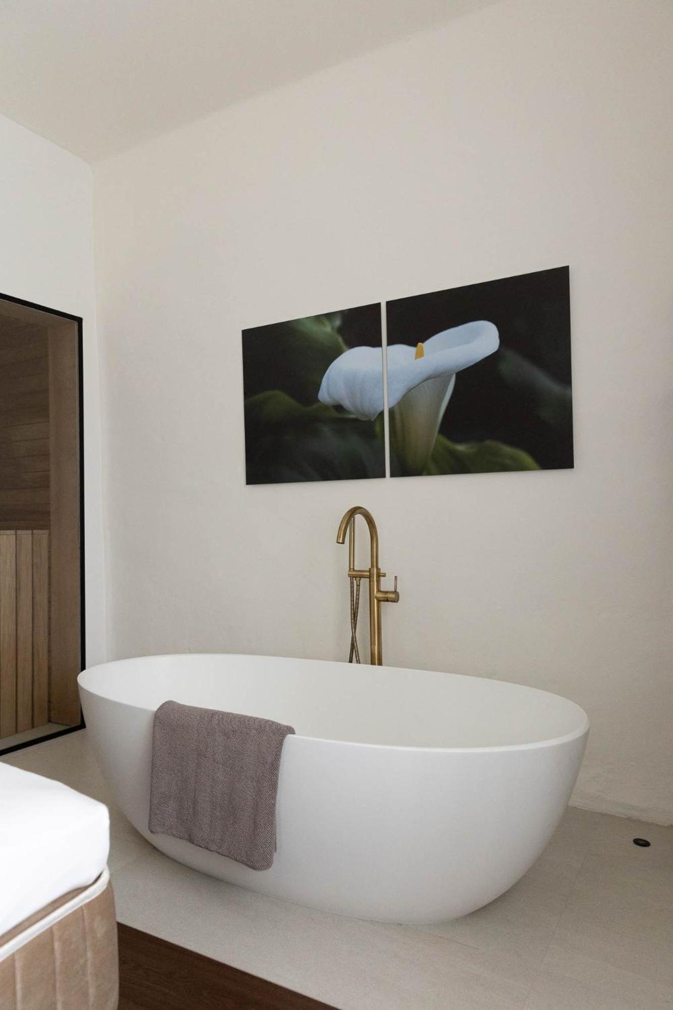 Deluxe Suite photo 2