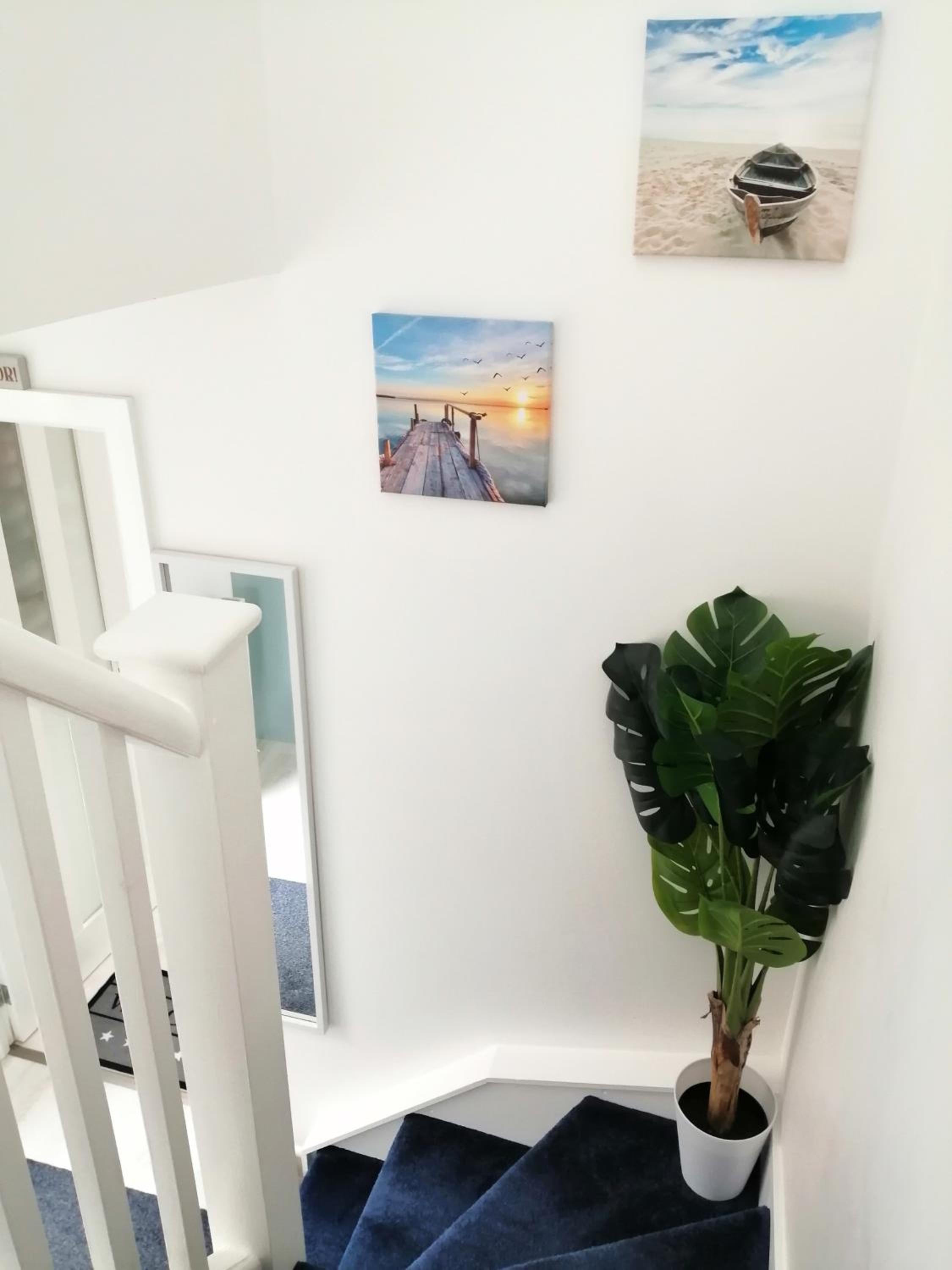 One-Bedroom House photo 2
