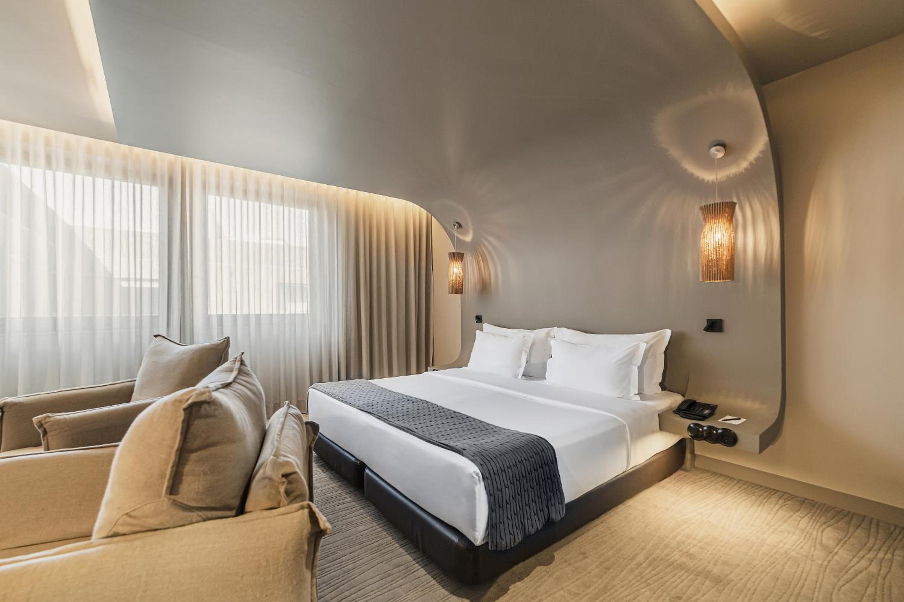 Suite - Photo 1