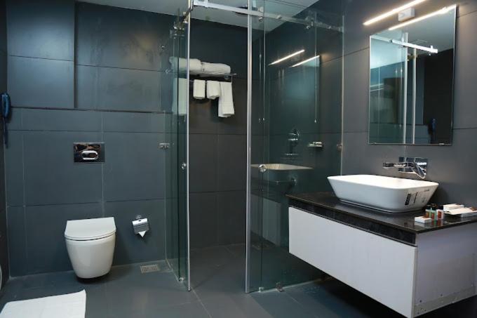 Deluxe Double or Twin Room photo 3